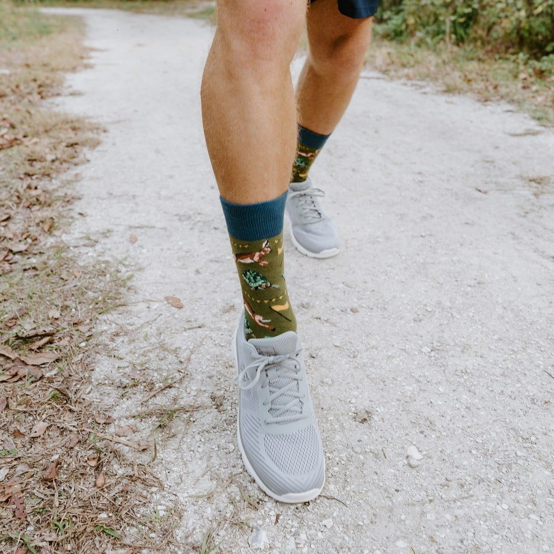[lf] Tortoise And The Hare