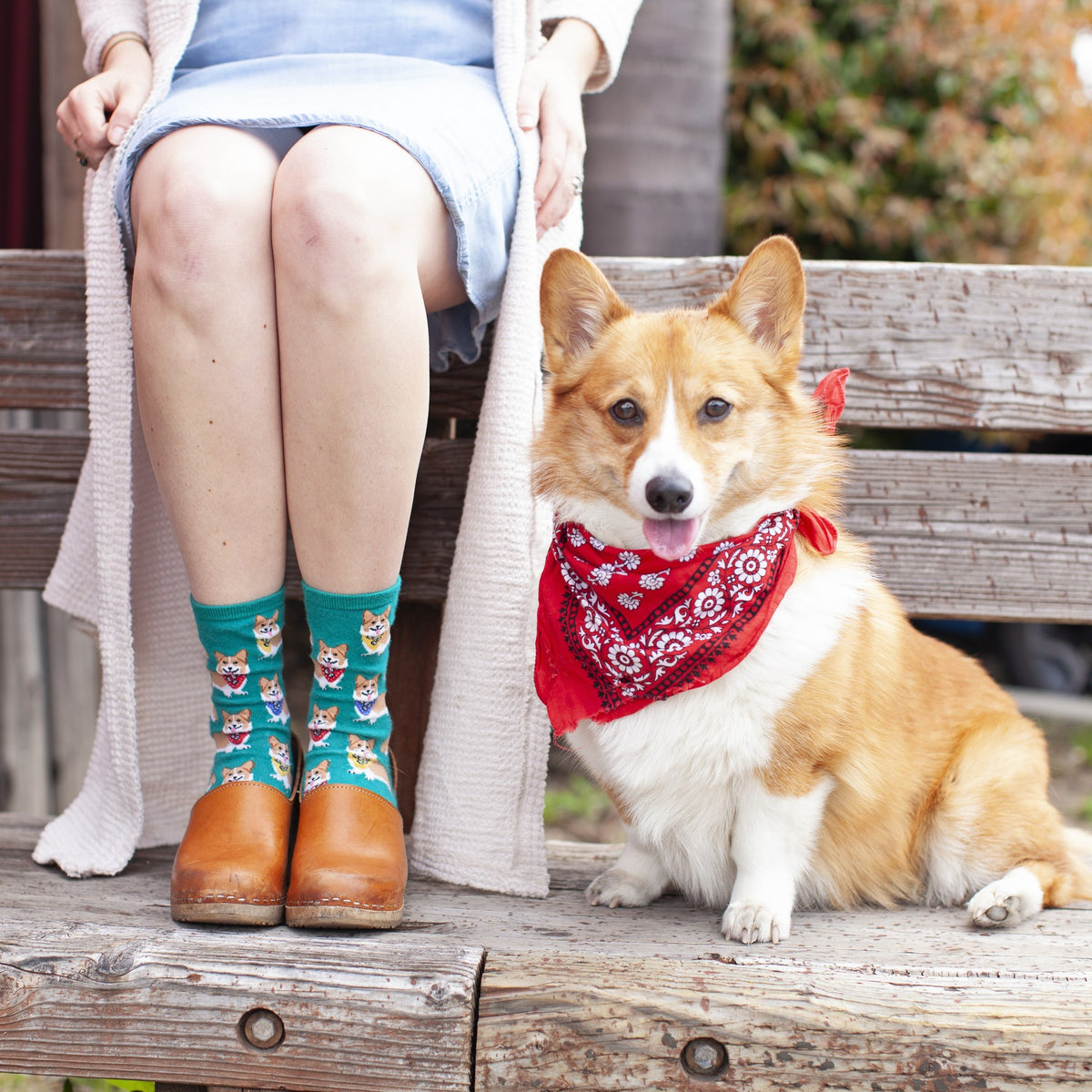 [lf] Corgi