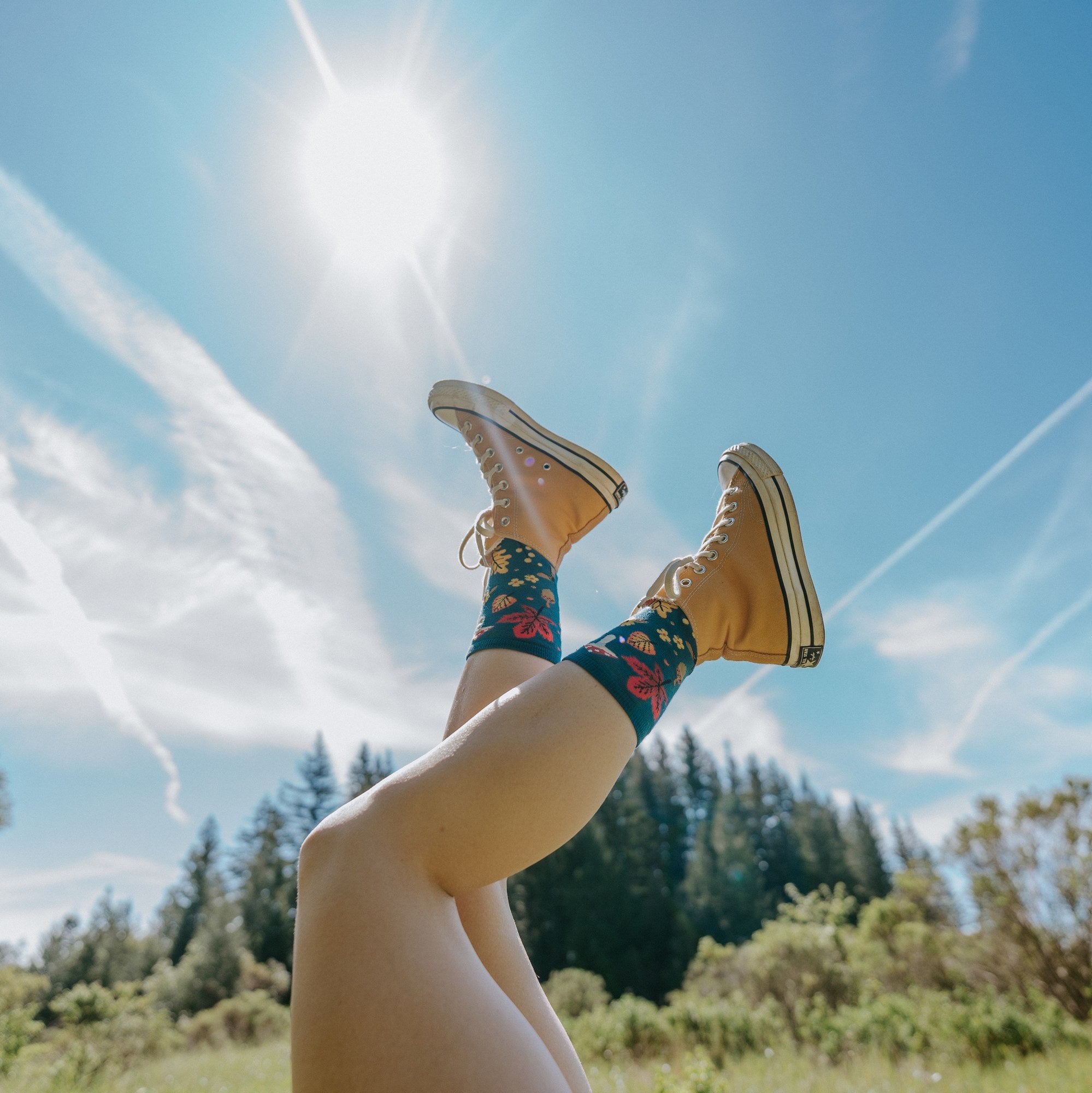 [lf] Forest Floor