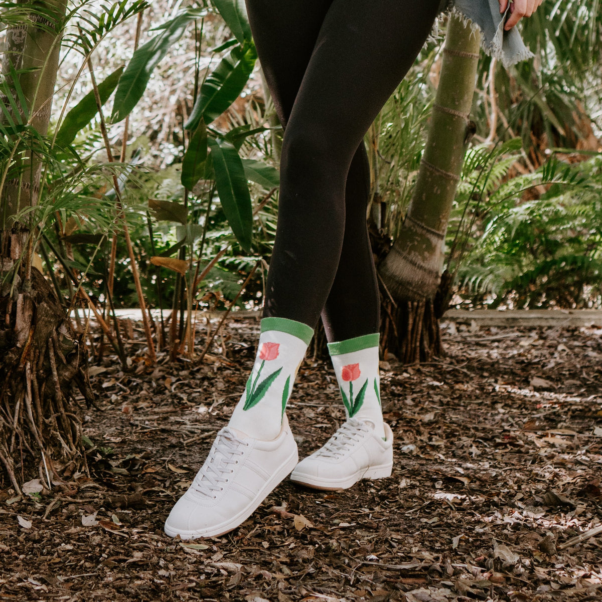 [lf] Spring Tulips Bamboo