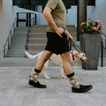 [lf] Labrador