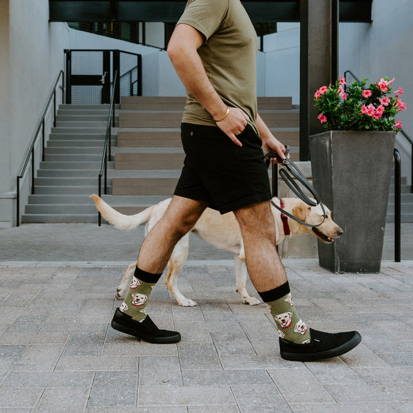 [lf] Labrador