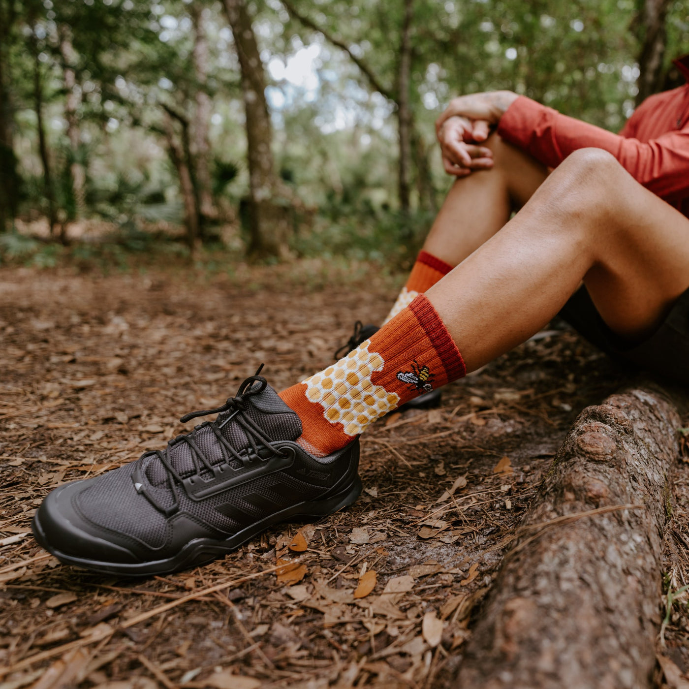 [lf] Home Sweet Honeycomb