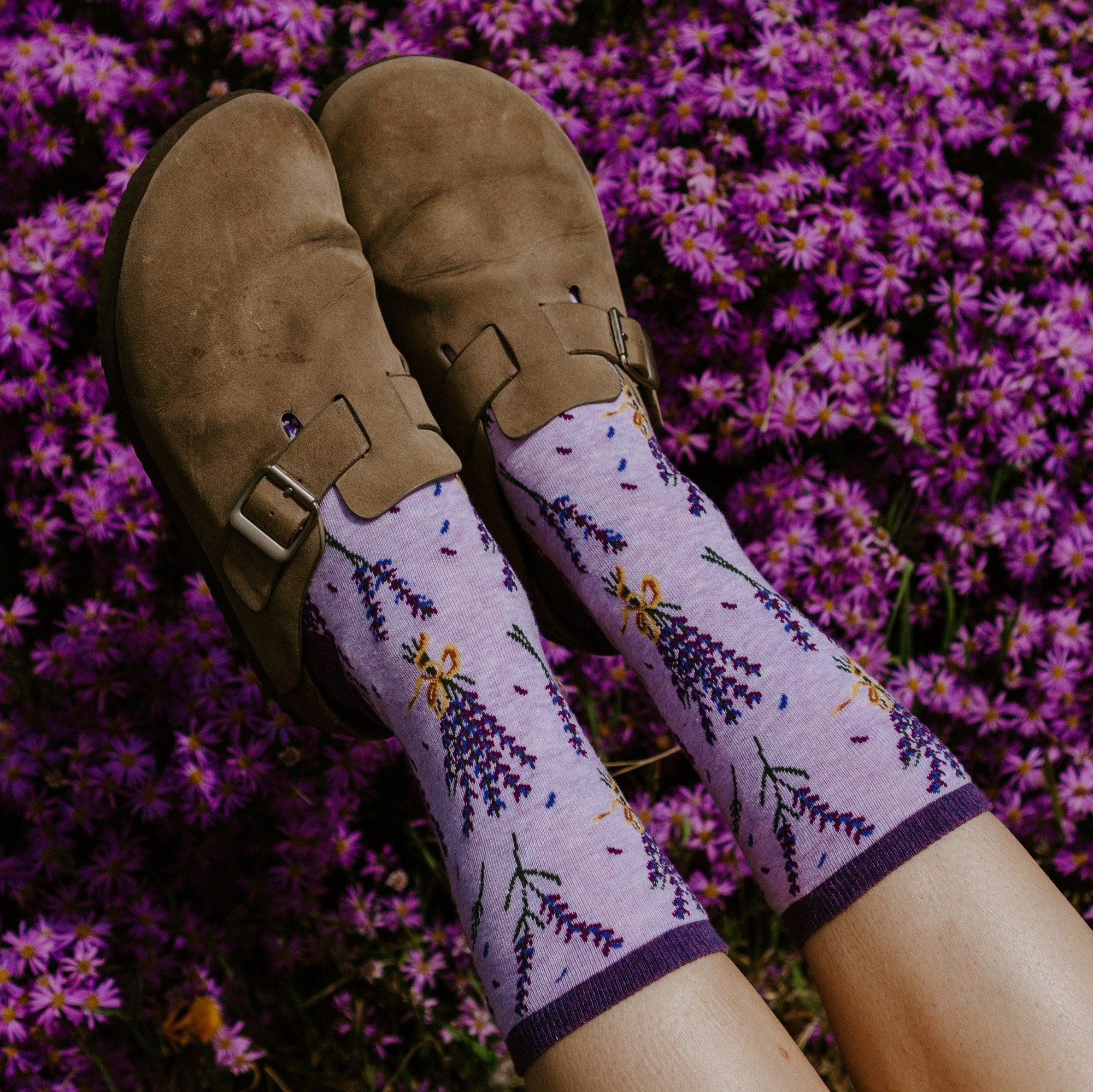 [lf] Bunches of Lavender