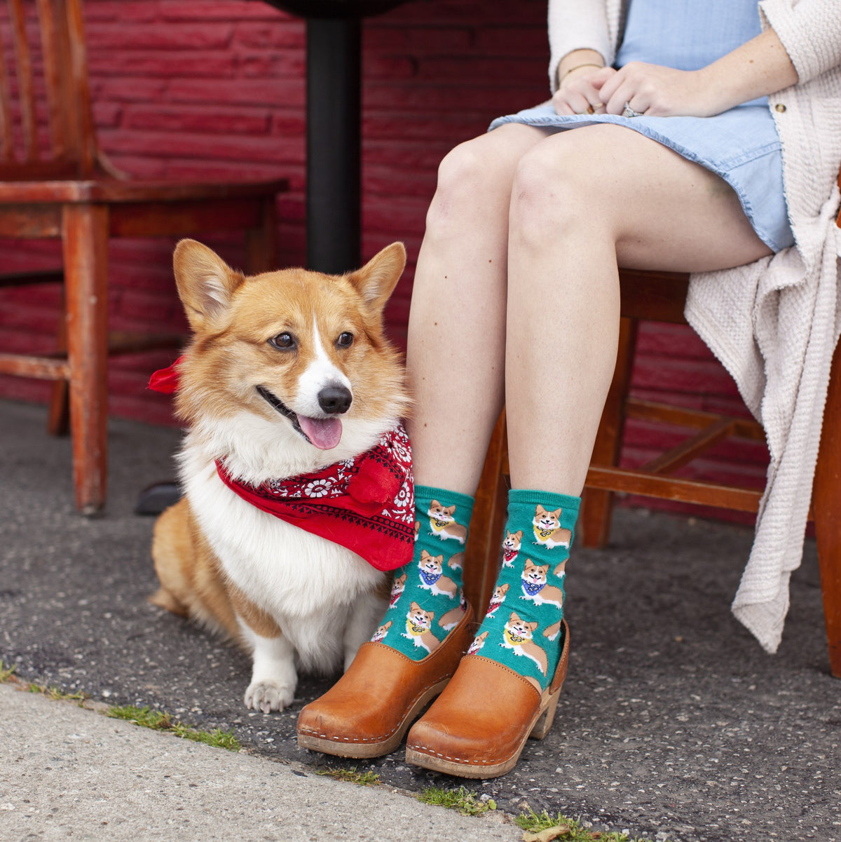 [lf] Corgi
