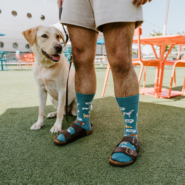 [lf] New Dog, Who Dis?