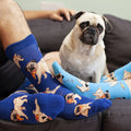 [lf] Man's Best Friends