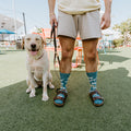 [lf] New Dog, Who Dis?