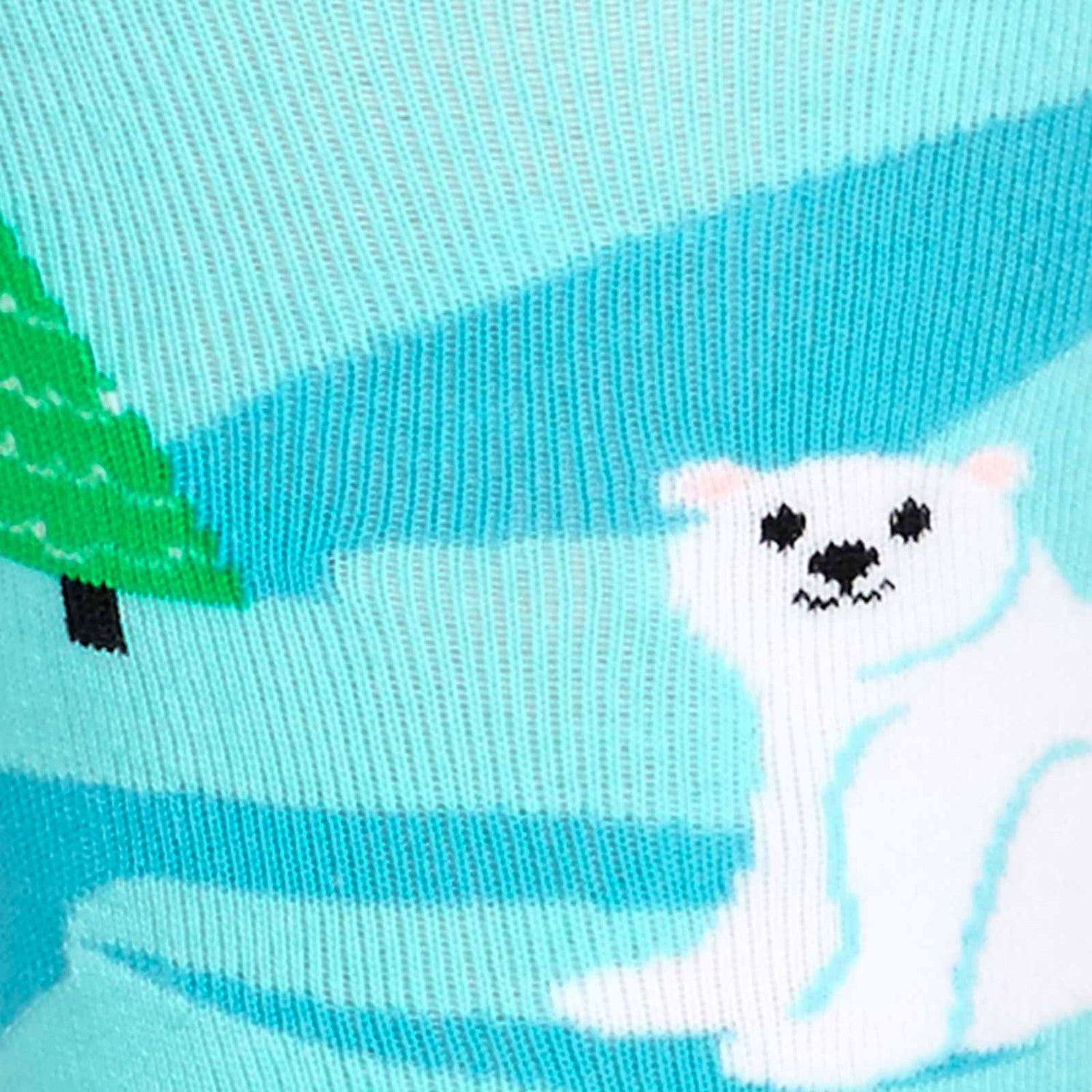 Polar Bear Stare
