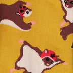 Flying Squirrels