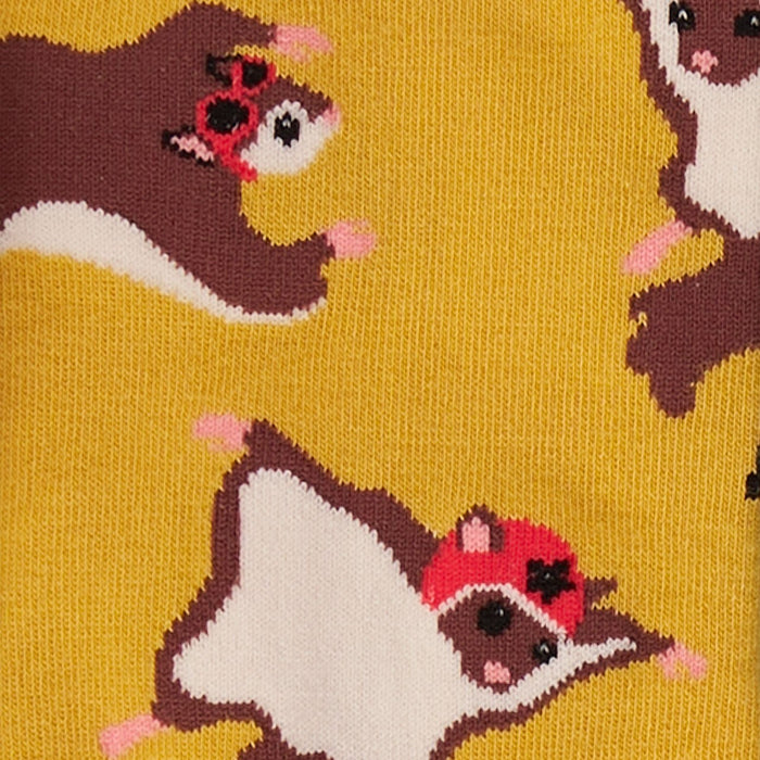 Flying Squirrels