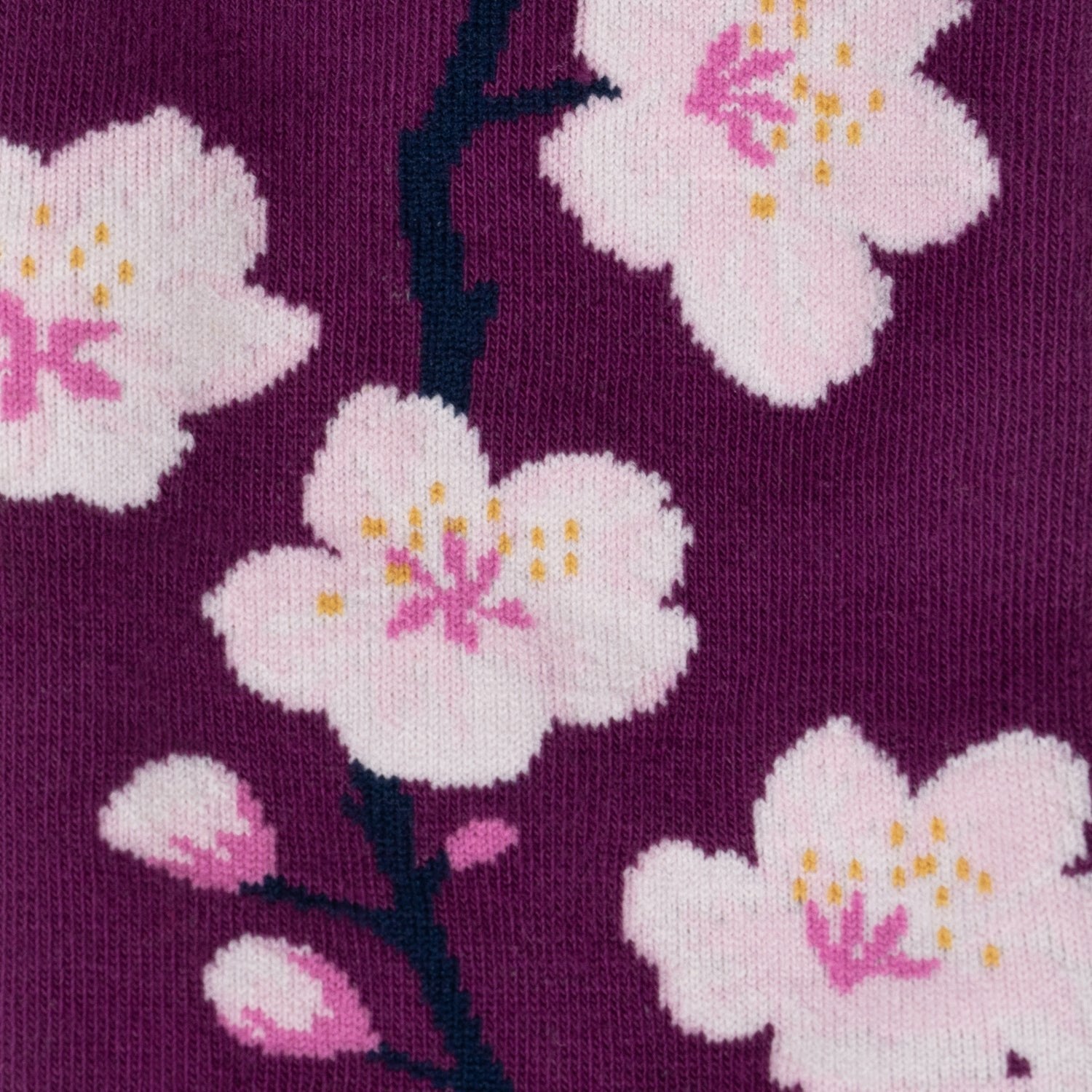 Cherry Blossoms
