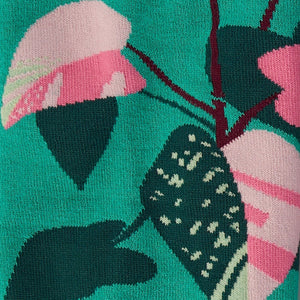 Philodendron
