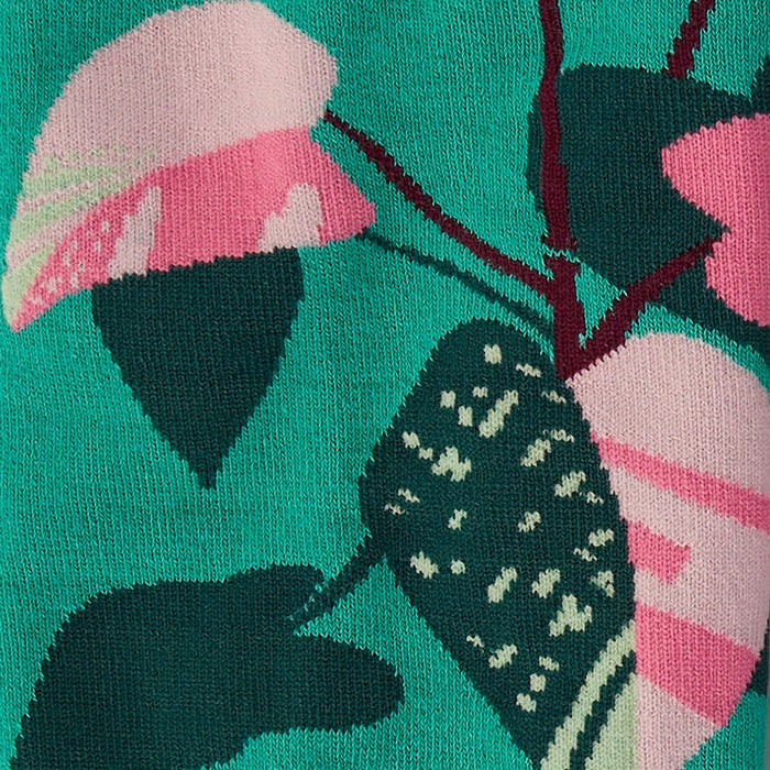 Philodendron