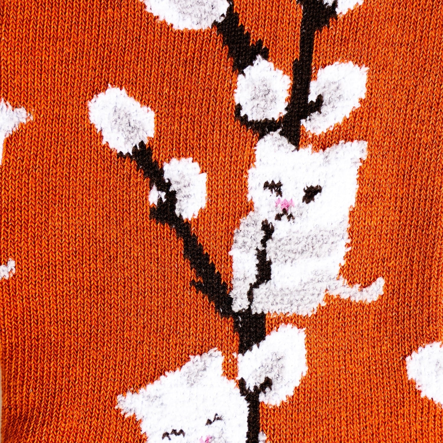 Kitten Willows