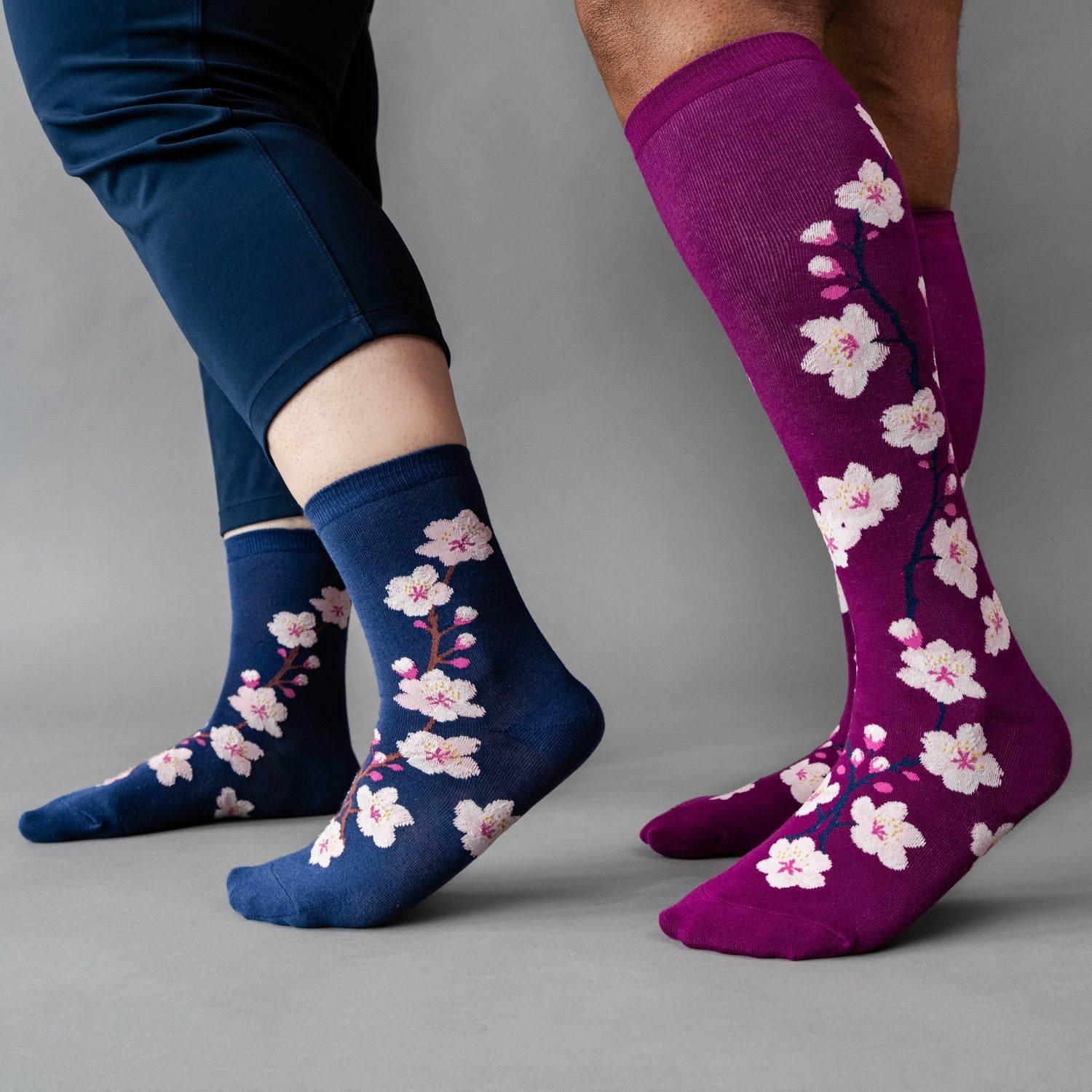 [lf] Two people wear navy ankle and purple knee-high socks with white cherry blossom patterns.