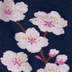 Cherry Blossoms