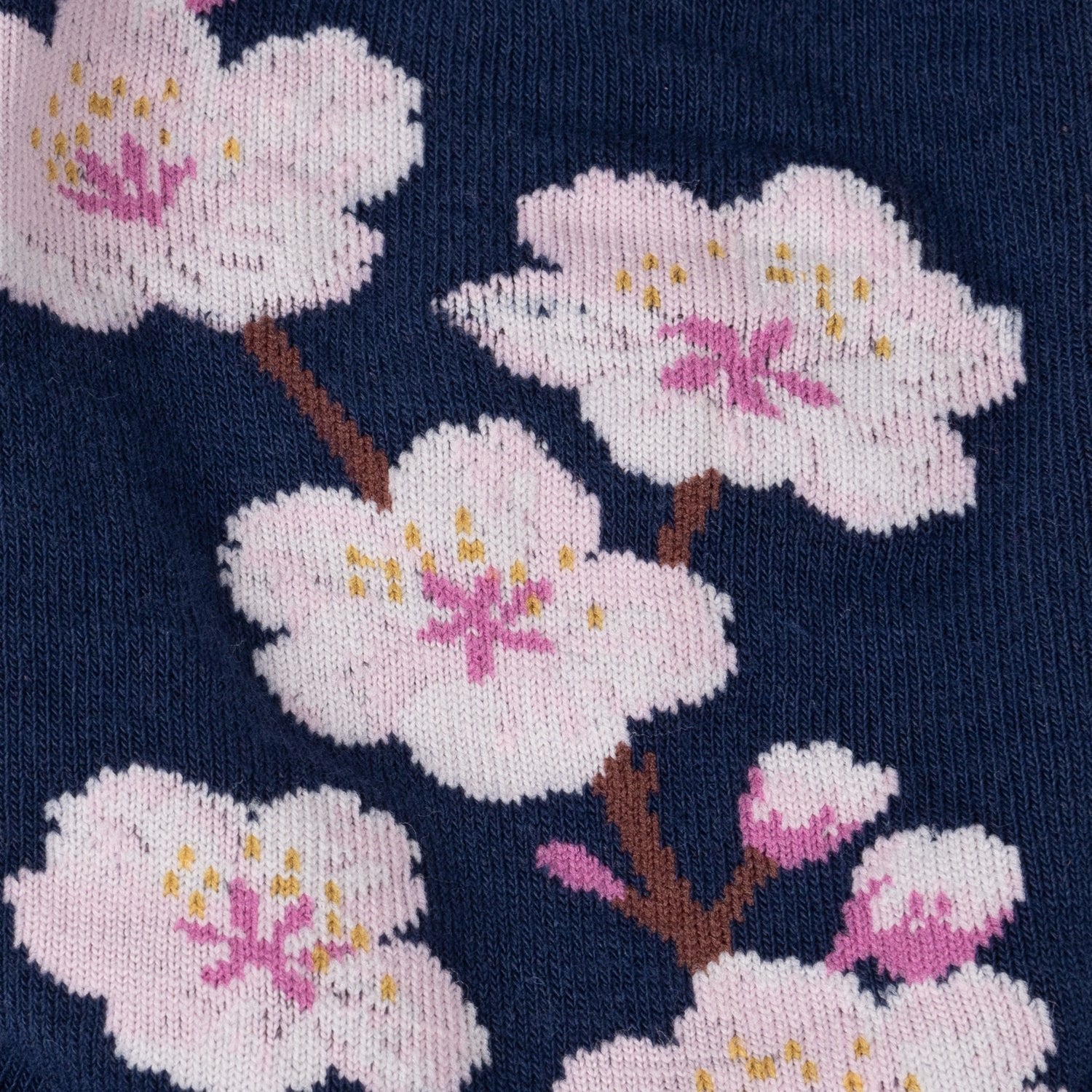 Cherry Blossoms