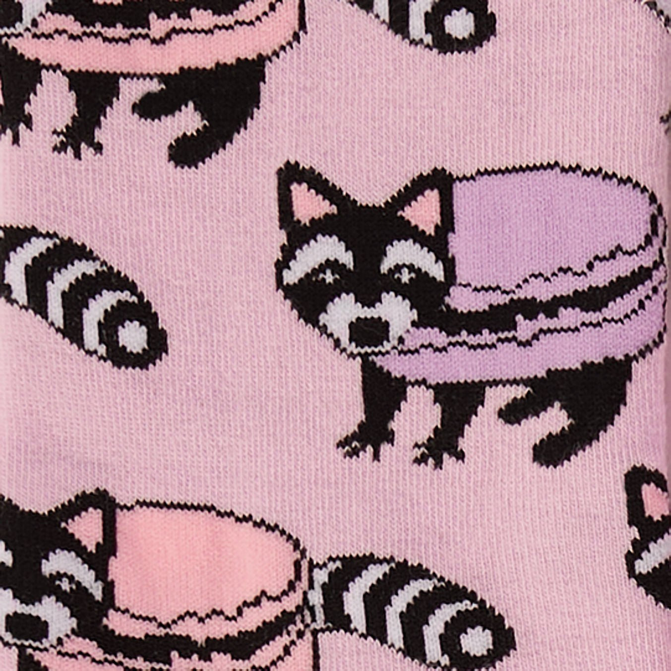 Macaraccoon