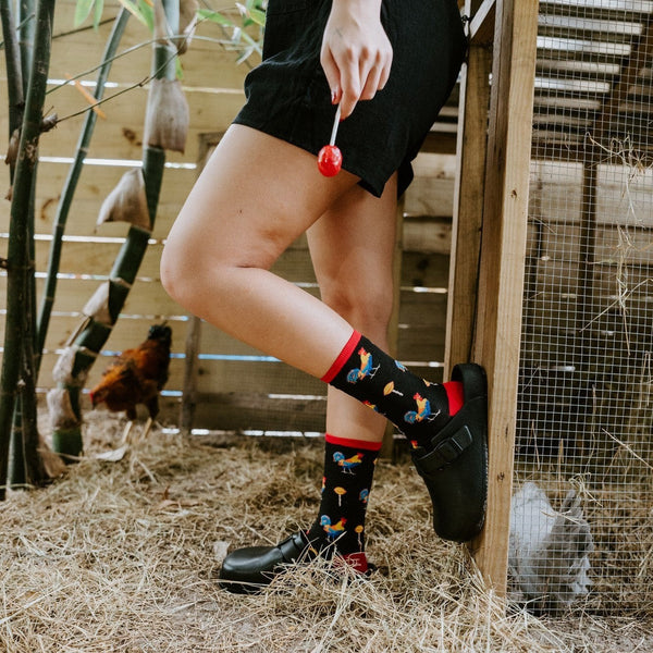 Vertical view of a woman with a red sucker resting one foot on a coop ledge, showcasing Cock Sucker socks in Black paired with black ankle boots. [lf]