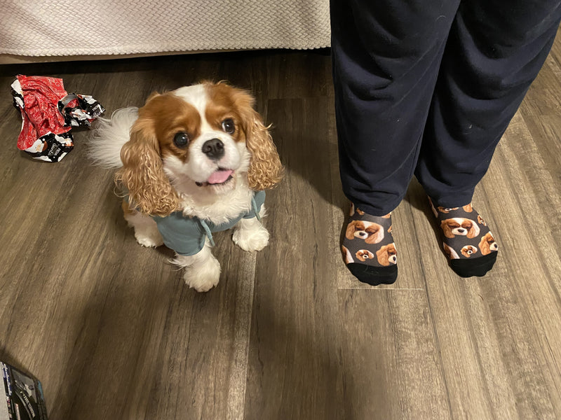 Aurelie - Sockologie customer socks photo