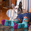 Lifestyle shot of a person's legs with a bulldog resting on a chair and wearing the bulldog socks.